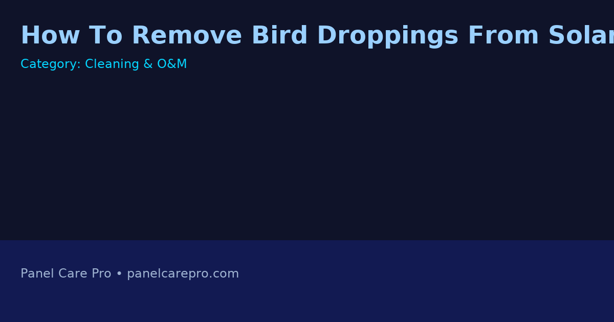 How To Remove Bird Droppings From Solar Panels